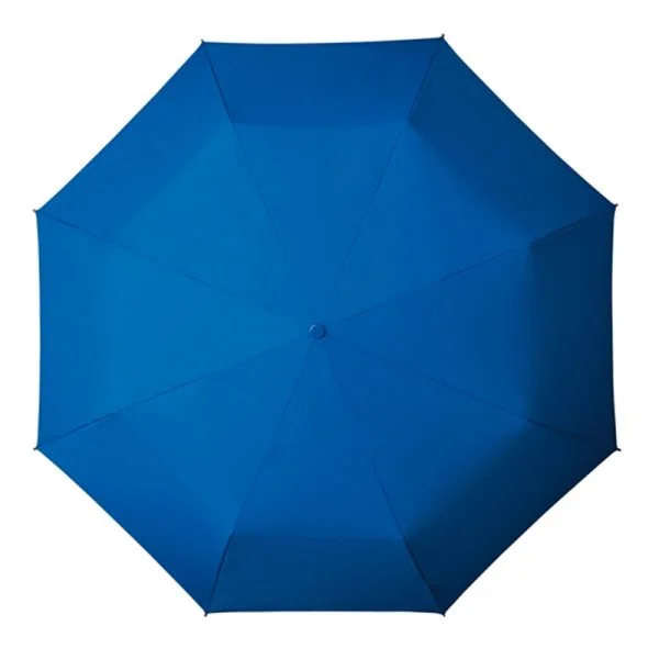 Small Blue Umbrella