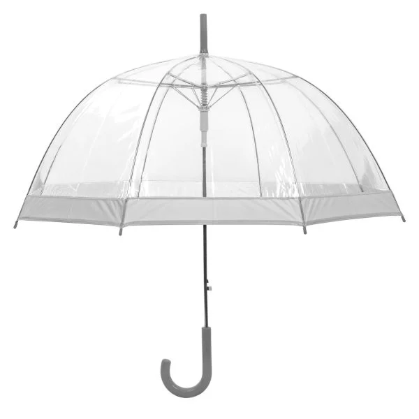 Clear Dome Umbrella Silver Trim Upright