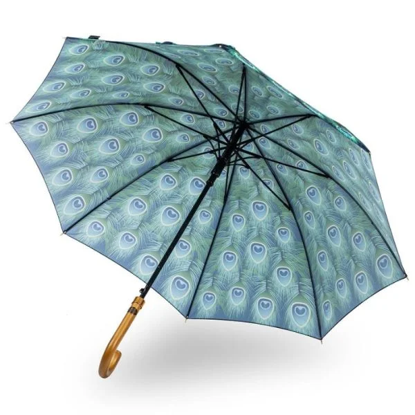 Peacock Umbrella Opened Frame