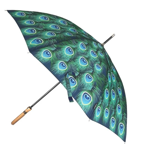 Peacock Umbrella Open