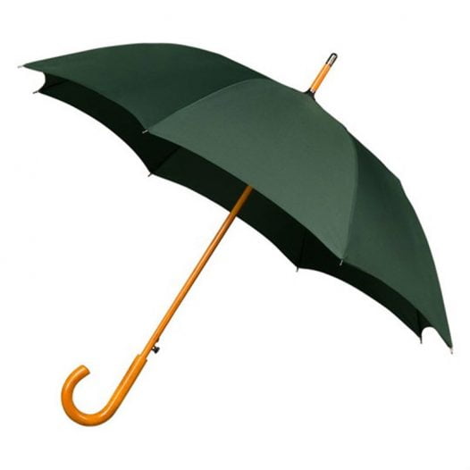 Green Umbrella Wood Stick Auto Open With Wooden Crook Handle