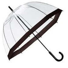 Clear Dome Umbrella Black Trim