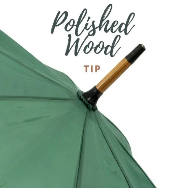 Green Wood Stick Umbrella Infographic Of Wooden Tip