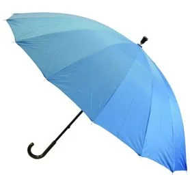 Blue Umbrella