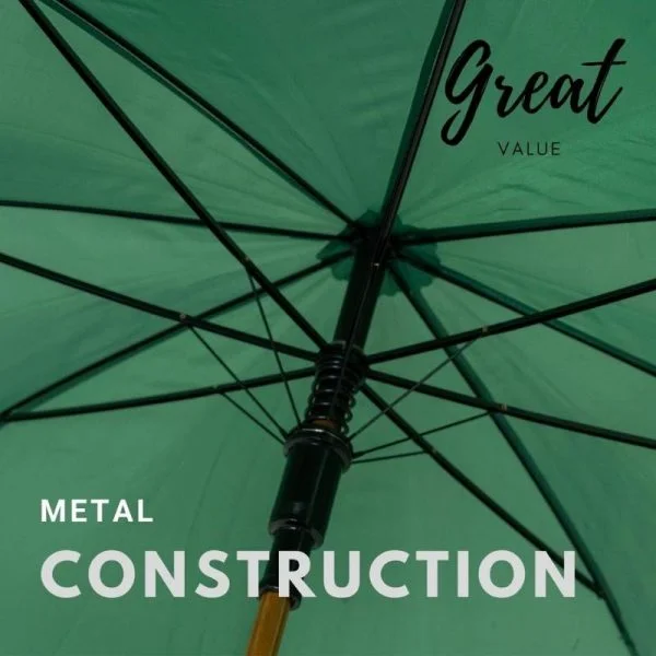 Green Wood Stick Umbrella Infographic Of Frame Construction