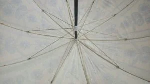 Indian Garden Parasol Underside