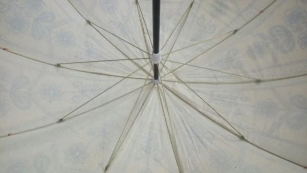 Indian Garden Parasol Underside