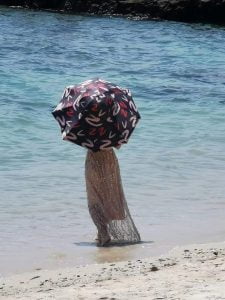Hat Shaped Umbrella from rear