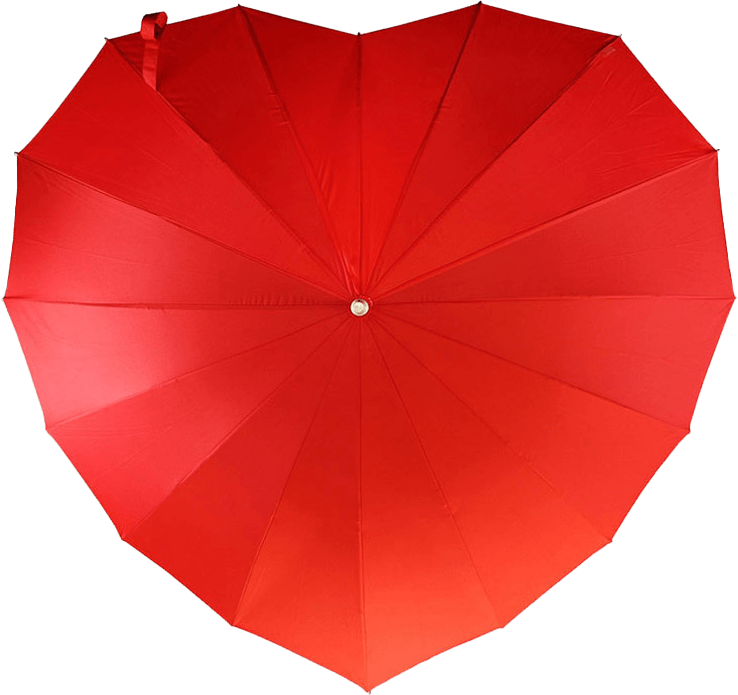 designer umbrella sale