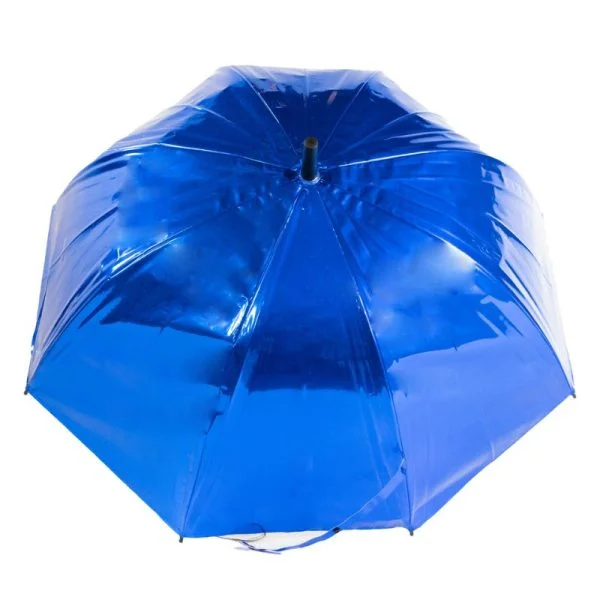 Metallic Blue Canopy