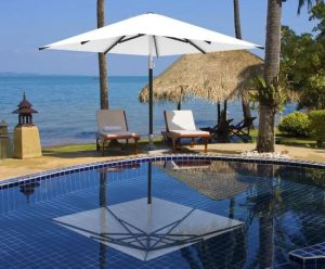 A summer parasol from Summer Umbrella Heaven!